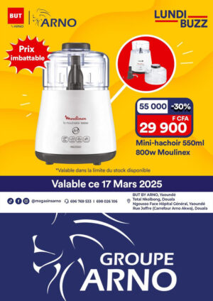 Groupe ARNO Promo